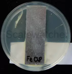 Bacteria count becomes significantly less.