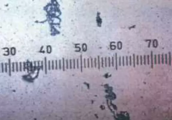Not treated silicate crystals