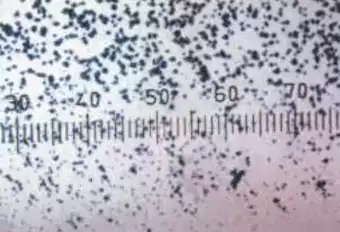 Treated silicate crystals