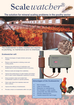 Lower chicken house temperature, less smell Lower chicken house temperature, less smell