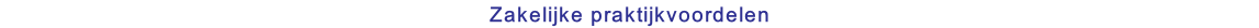 Zakelijke praktijkvoordelen